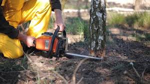 Best Utility Line Clearance  in Huntington, UT