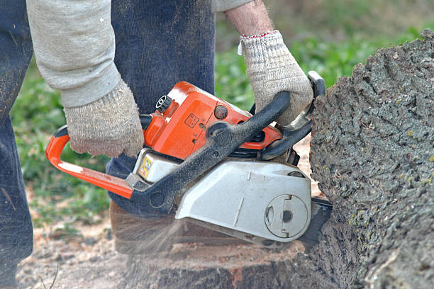 Best Weed Control  in Huntington, UT