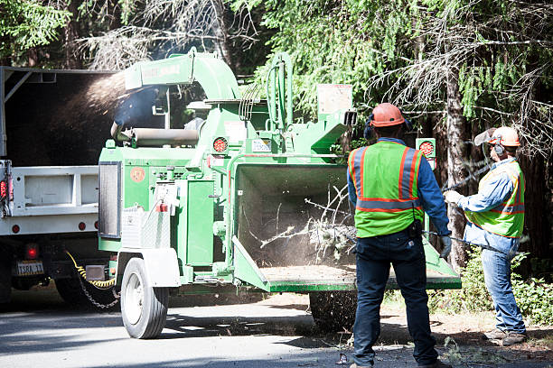 Best Aeration Services  in Huntington, UT