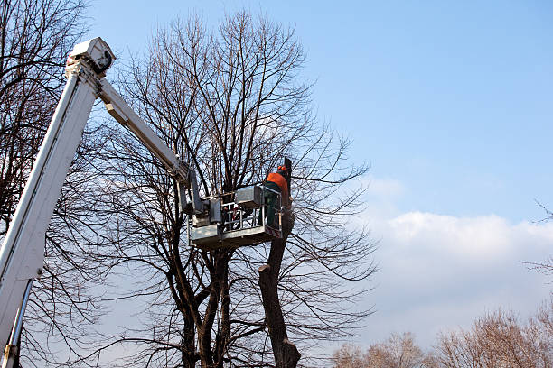 Best Soil Testing and Treatment  in Huntington, UT